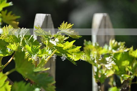 信用卡每次逾期3天 信用卡每次逾期3天