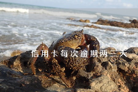 信用卡每次逾期两三天 信用卡每次逾期两三天