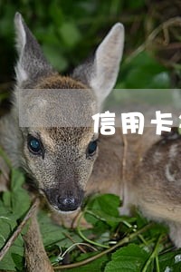 信用卡每次都逾期一天