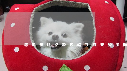 信用卡比还款日晚了两天算逾期吗 信用卡比还款日晚了两天算逾期吗