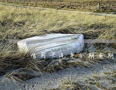 信用卡汽车分期逾期
