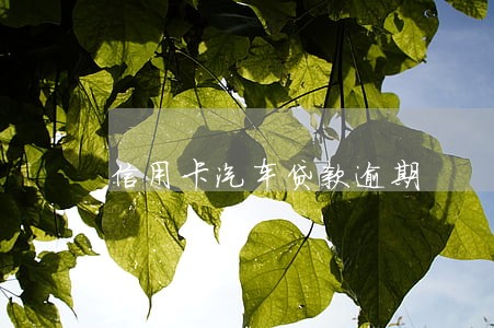 信用卡汽车贷款逾期 信用卡汽车贷款逾期