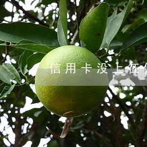 信用卡没上征信的逾期 信用卡没上征信的逾期