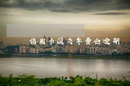 信用卡没交年费会逾期 信用卡没交年费会逾期