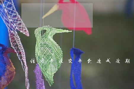 信用卡没交年费造成逾期 信用卡没交年费造成逾期