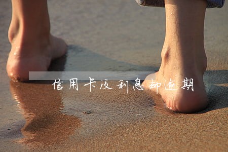 信用卡没利息却逾期