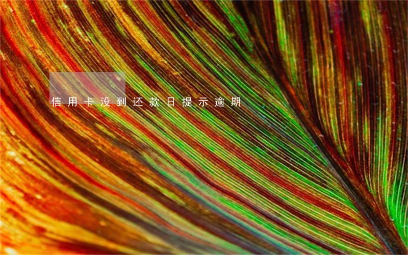信用卡没到还款日提示逾期 信用卡没到还款日提示逾期