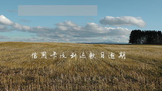 信用卡没到还款日逾期 信用卡没到还款日逾期