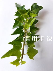 信用卡没到逾期时间欢乐一 信用卡没到逾期时间欢乐一