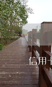 信用卡没去面签逾期再次申请表