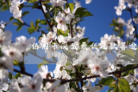 信用卡没发最低还款算逾期吗 信用卡没发最低还款算逾期吗