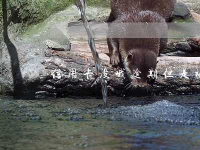 信用卡没哦逾期但是被限制了