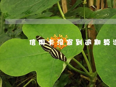 信用卡没寄到逾期算谁的 信用卡没寄到逾期算谁的
