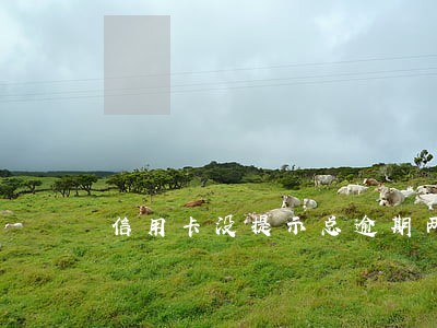 信用卡没提示总逾期两三天 信用卡没提示总逾期两三天