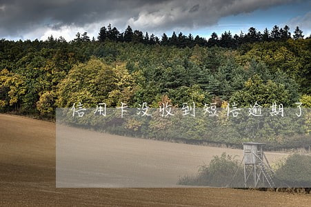 信用卡没收到短信逾期了