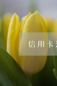 信用卡没收到账单逾期了怎么办 信用卡没收到账单逾期了怎么办