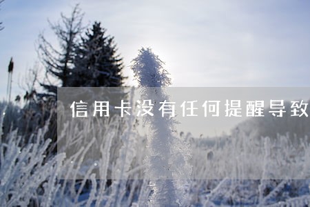 信用卡没有任何提醒导致逾期 信用卡没有任何提醒导致逾期