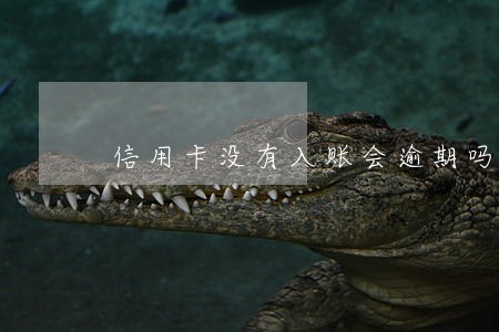 信用卡没有入账会逾期吗