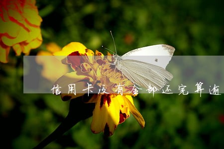 信用卡没有全部还完算逾期吗
