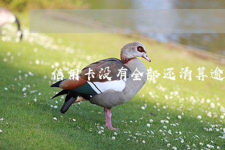 信用卡没有全部还清算逾期吗