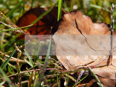 信用卡没有全额还款算逾期吗 信用卡没有全额还款算逾期吗