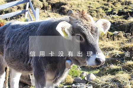 信用卡没有出现90天逾期 信用卡没有出现90天逾期