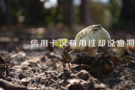 信用卡没有用过却说逾期 信用卡没有用过却说逾期