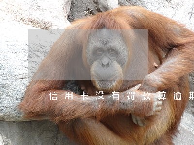 信用卡没有罚款算逾期吗 信用卡没有罚款算逾期吗