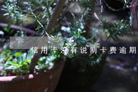 信用卡没有说制卡费逾期了 信用卡没有说制卡费逾期了
