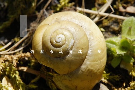信用卡没有过逾期 信用卡没有过逾期