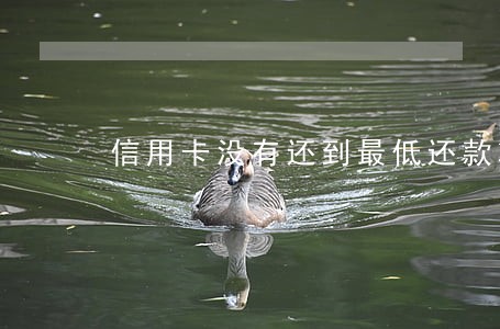 信用卡没有还到最低还款算逾期吗