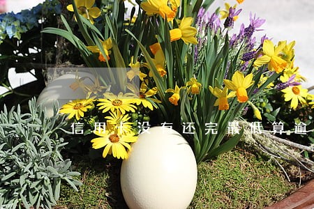 信用卡没有还完最低算逾期吗 信用卡没有还完最低算逾期吗