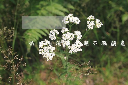 信用卡没有逾期不涨额度