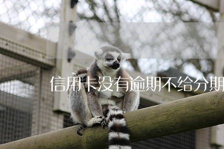 信用卡没有逾期不给分期怎么办