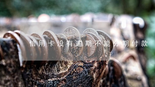 信用卡没有逾期不能分期付款 信用卡没有逾期不能分期付款
