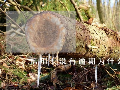 信用卡没有逾期为什么会掉星 信用卡没有逾期为什么会掉星