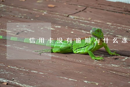 信用卡没有逾期为什么冻结 信用卡没有逾期为什么冻结