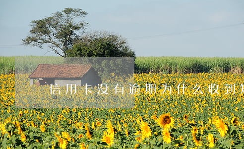 信用卡没有逾期为什么收到短信