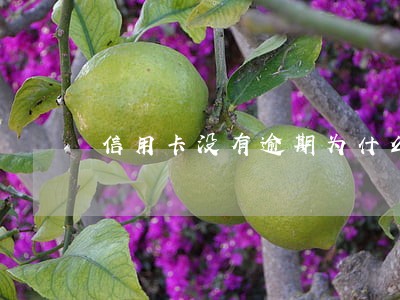 信用卡没有逾期为什么贷不了款 信用卡没有逾期为什么贷不了款