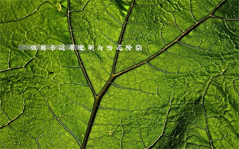 信用卡没有逾期为啥还降额 信用卡没有逾期为啥还降额