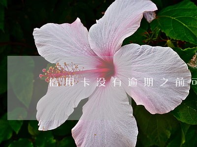 信用卡没有逾期之前可否商量减息 信用卡没有逾期之前可否商量减息