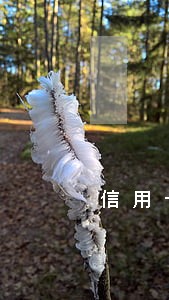 信用卡没有逾期了怎么查 信用卡没有逾期了怎么查