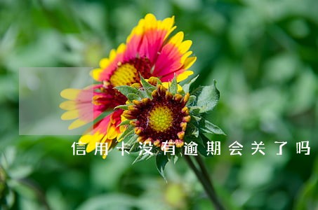 信用卡没有逾期会关了吗 信用卡没有逾期会关了吗