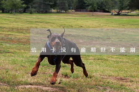 信用卡没有逾期但不能刷 信用卡没有逾期但不能刷