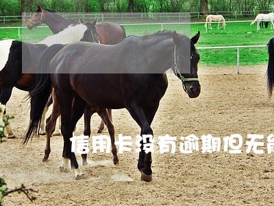 信用卡没有逾期但无能力还款 信用卡没有逾期但无能力还款