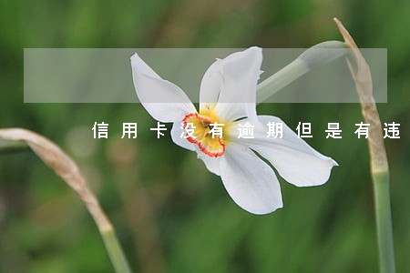 信用卡没有逾期但是有违约金 信用卡没有逾期但是有违约金