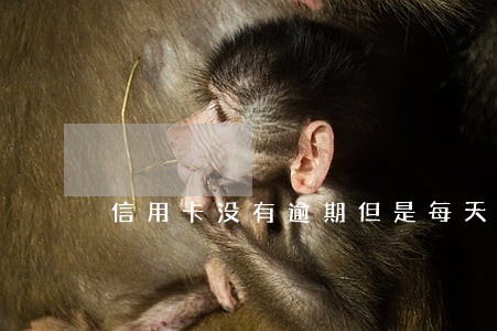 信用卡没有逾期但是每天有额度 信用卡没有逾期但是每天有额度