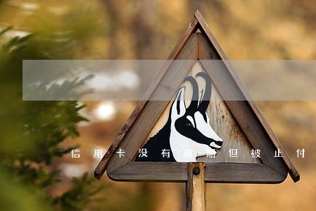 信用卡没有逾期但被止付怎么解除