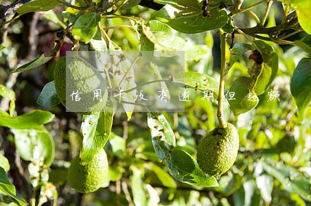 信用卡没有逾期但超额
