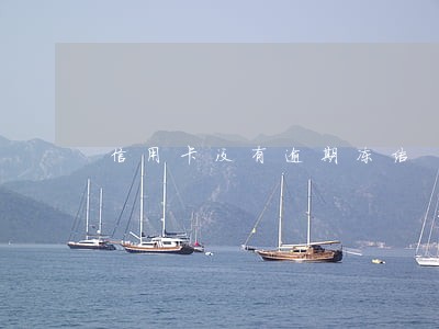 信用卡没有逾期冻结 信用卡没有逾期冻结
